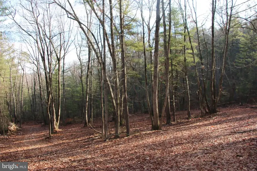 Valley Burg Rd, Luray, VA 22835 - #2