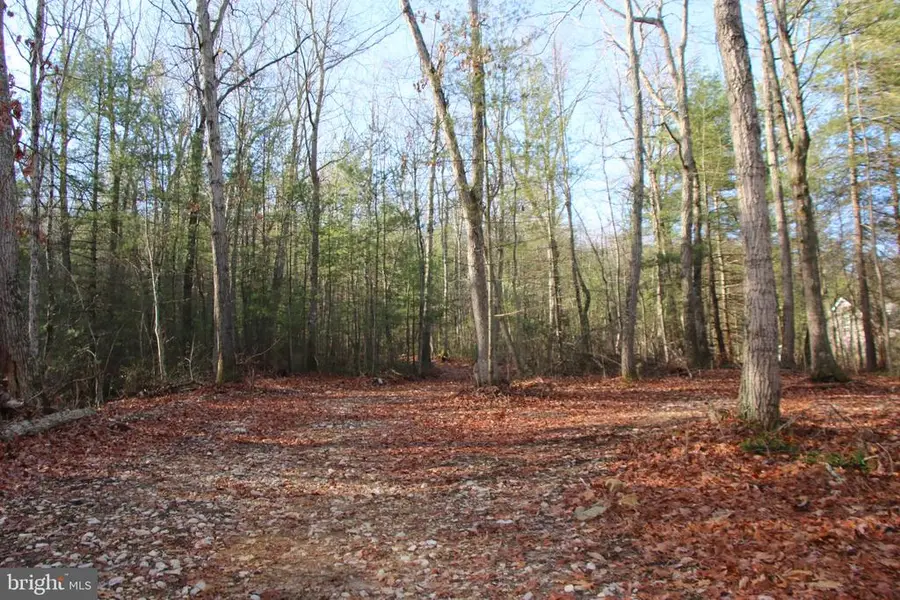 Valley Burg Rd, Luray, VA 22835 - #3