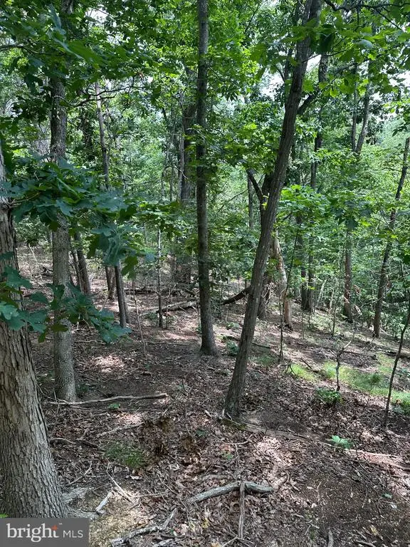 0 Forest Dr, Stanley, VA 22851 - #3