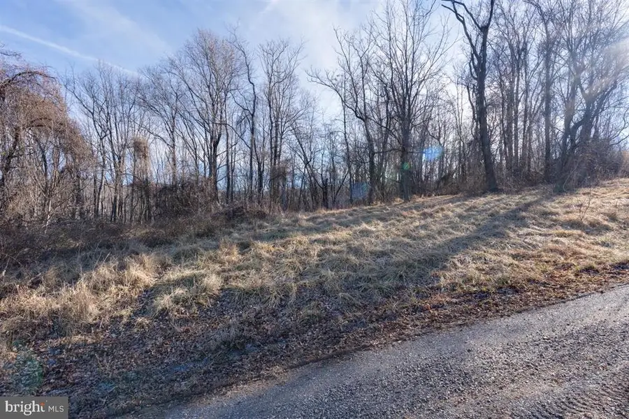 Overlook Mountain Rd, Elkton, VA 22827 - #2