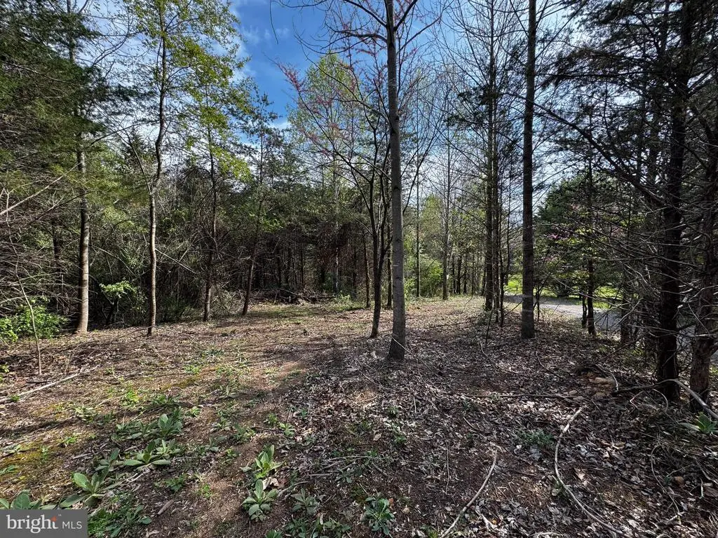 0 Castleton Ford, Castleton, VA 22716 - Image #1