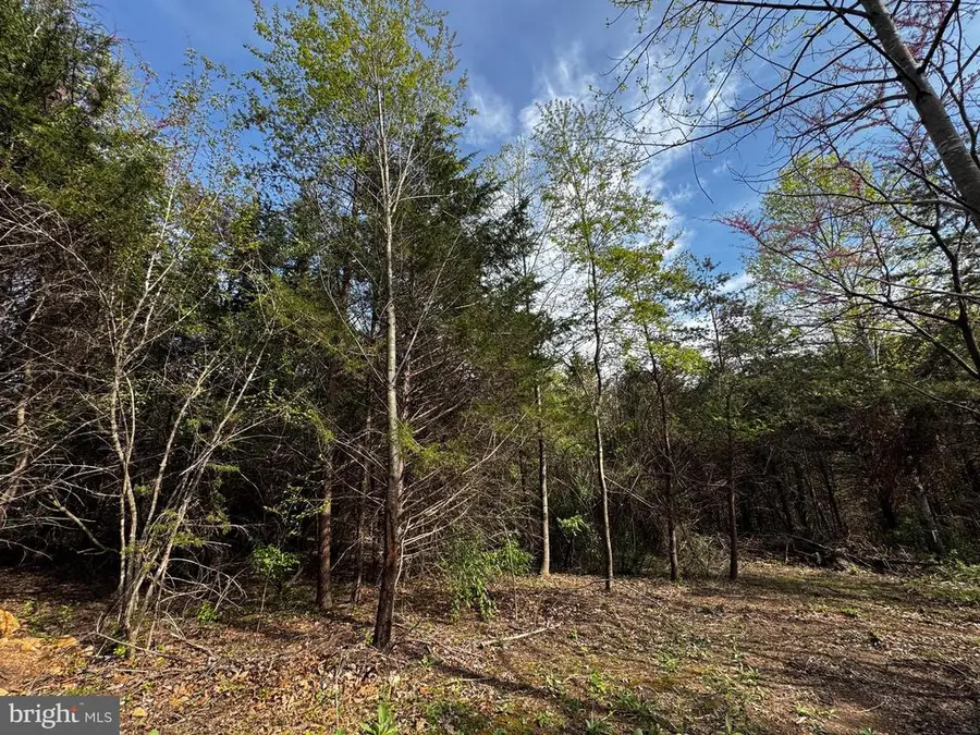 0 Castleton Ford, Castleton, VA 22716 - Image #3