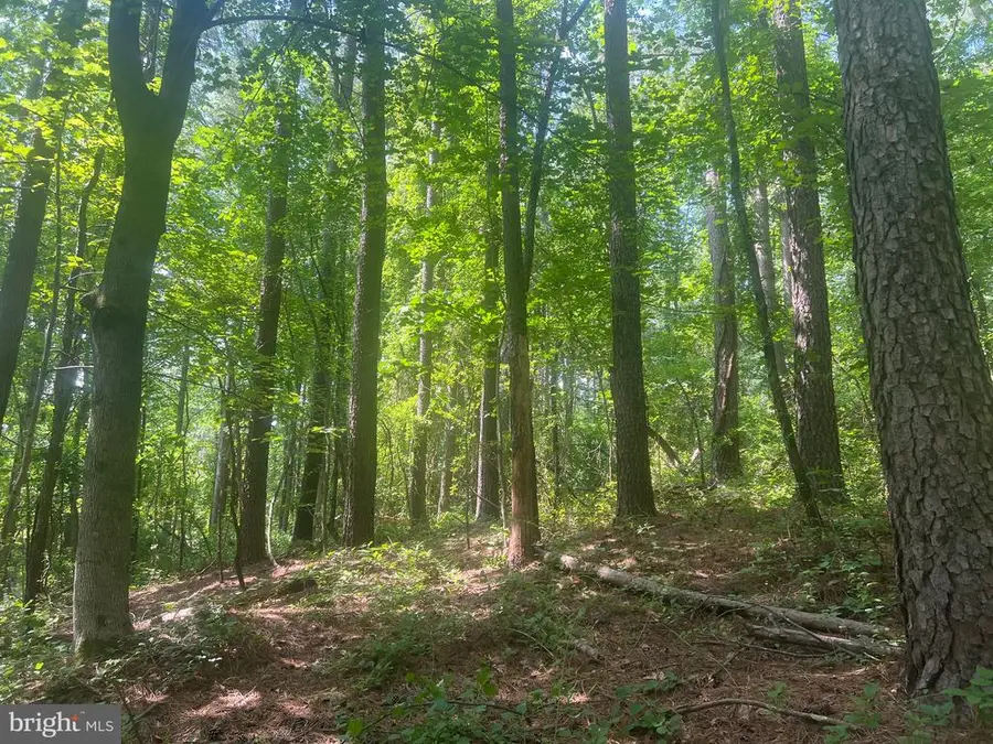 0 Thornton Gap Church Road, Sperryville, VA 22740 - Image #2