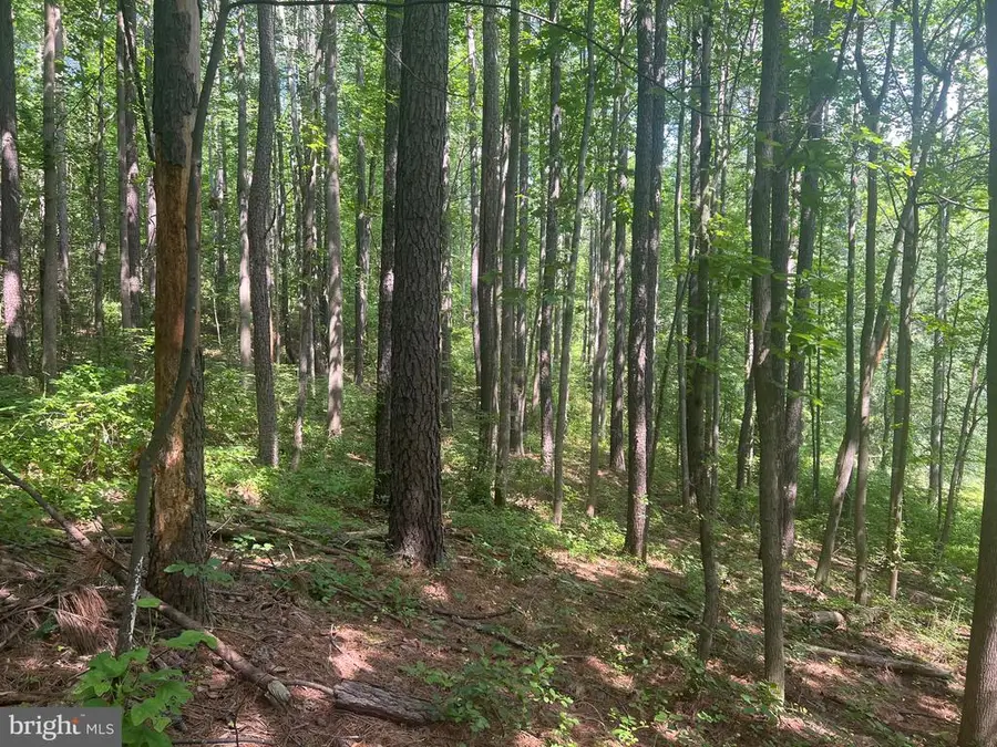 0 Thornton Gap Church Road, Sperryville, VA 22740 - Image #3