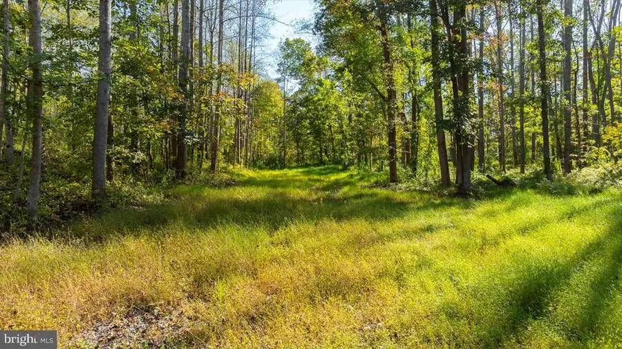 Lee Highway, Amissville, VA 20106 - #3