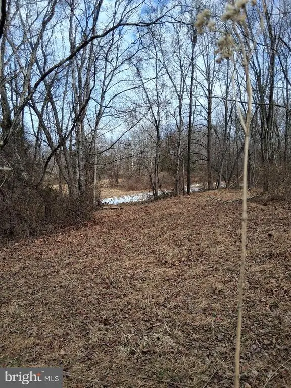 369 Rock Mills Rd, Washington, VA  - #3