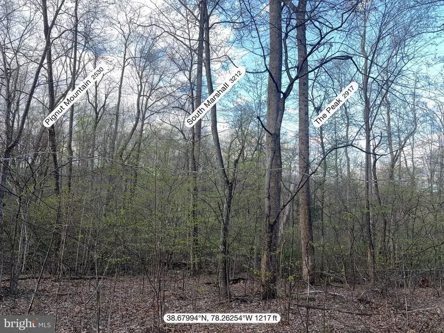 Padua, Sperryville, VA 22740 - #3