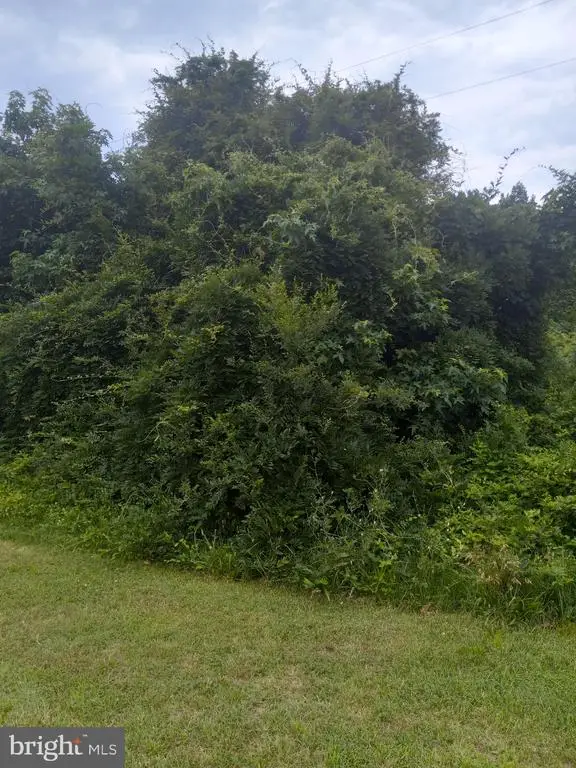 0 Lewis Estates Lane - Lot 5, Spotsylvania, VA 22551 - #1