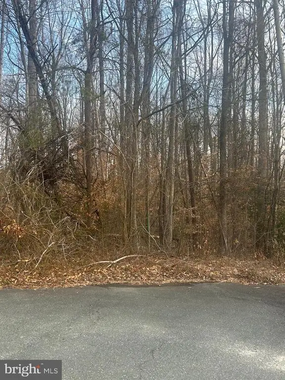 6700 Reindeer Court, Salem, VA 22407 - #1