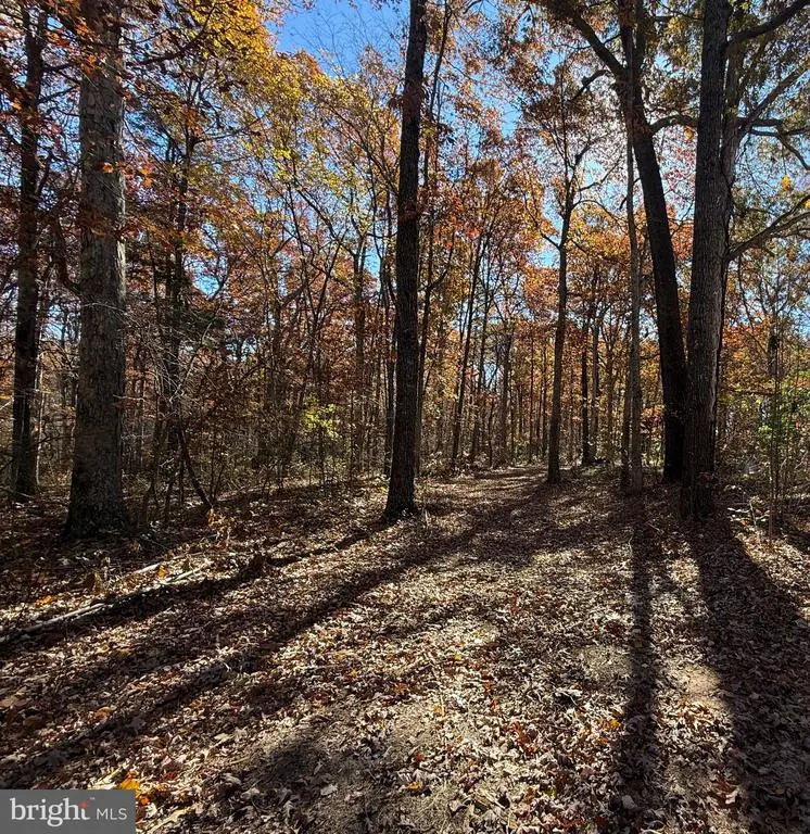 11400 Railroad Ln, Locust Grove, VA 22508 - Image #2