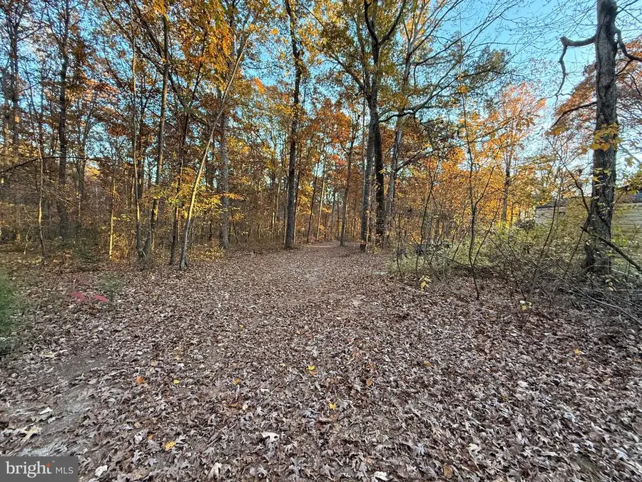 11400 Railroad Ln, Locust Grove, VA 22508 - Image #3