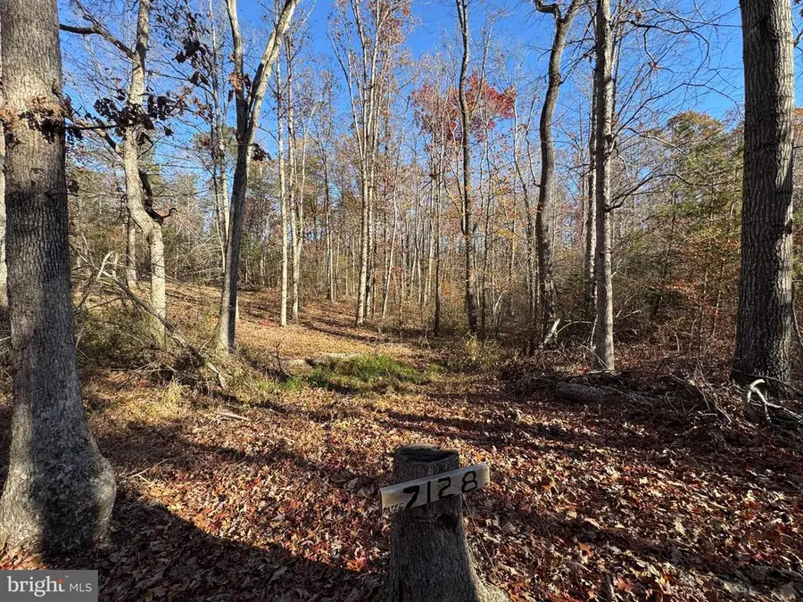 7128 Dominique Dr, Spotsylvania, VA 22551 - #2