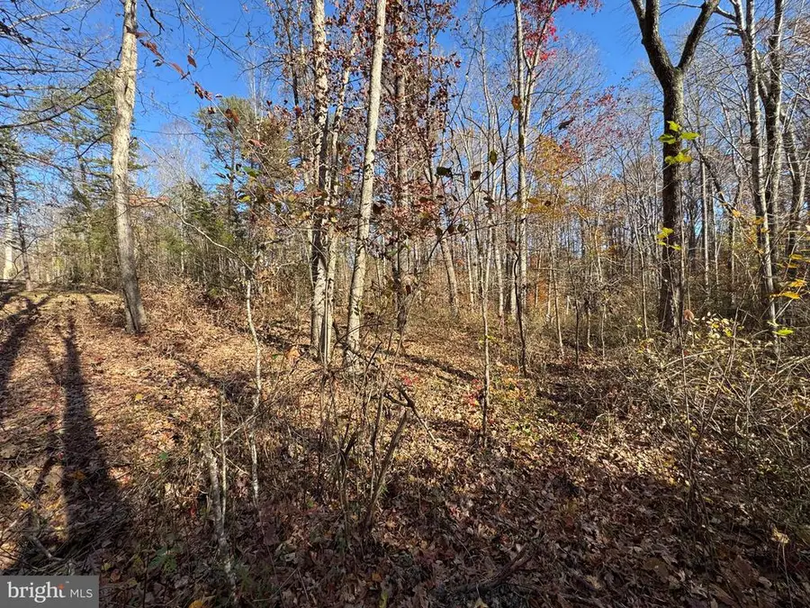 7128 Dominique Dr, Spotsylvania, VA 22551 - #3