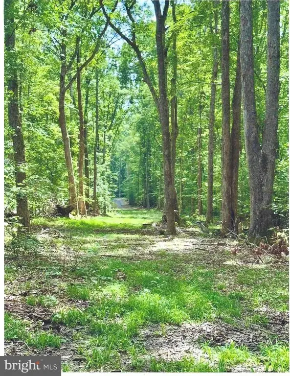 14409 Spotswood Furnace Rd, Fredericksburg, VA 22407 - #2