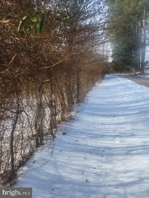 9546 Rapidan Dr, Fredericksburg, VA 22407 - #3