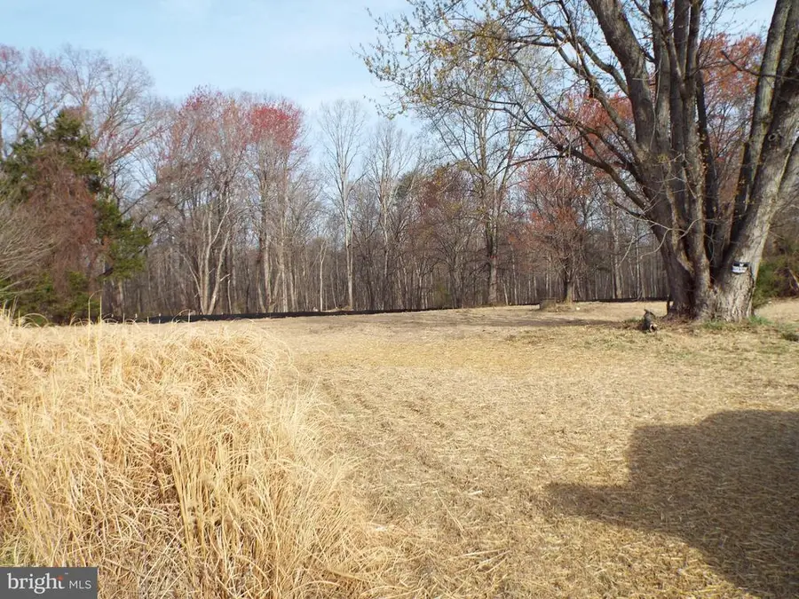 11745 Windy Acres Ln, Locust Grove, VA 22508 - #2