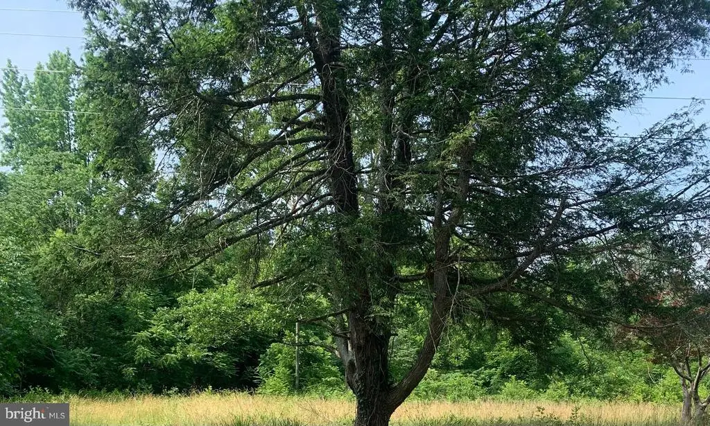 11900 Post Oak Rd, Spotsylvania, VA 22551 - #1