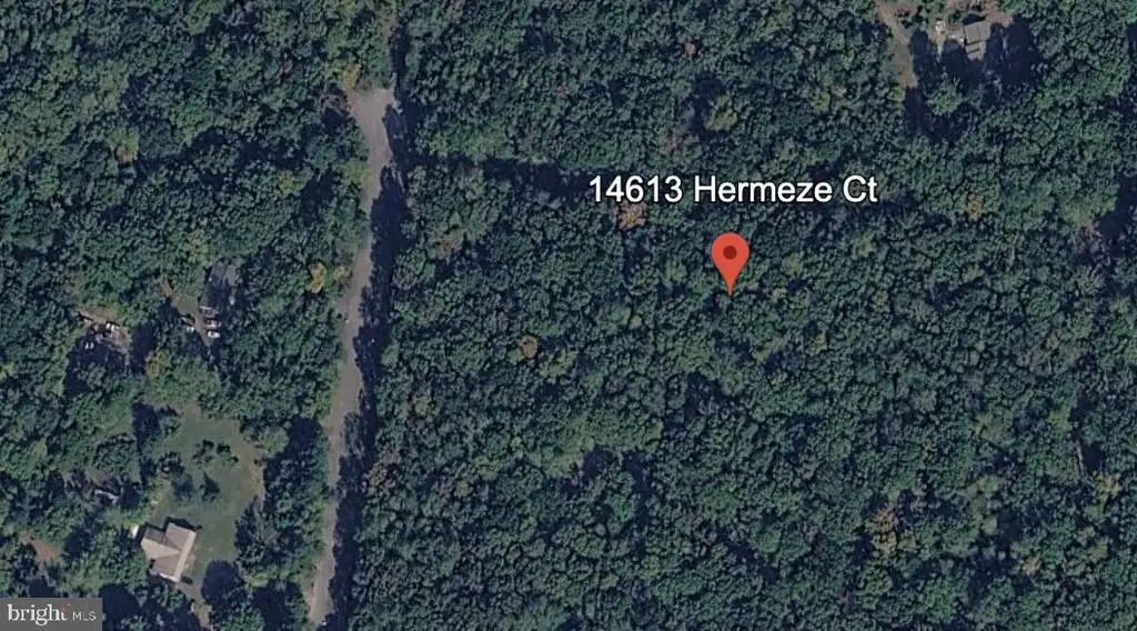 14613 Hermeze Ct, Fredericksburg, VA 22407 - #1