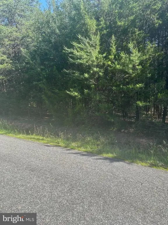13615 Black Meadow Rd, Spotsylvania, VA 22553 - #2