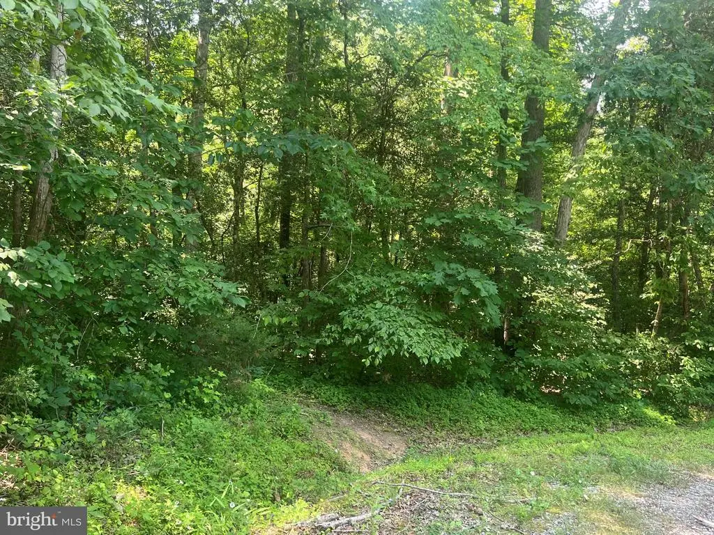 5517 Forest View Dr, Partlow, VA 22534 - #1