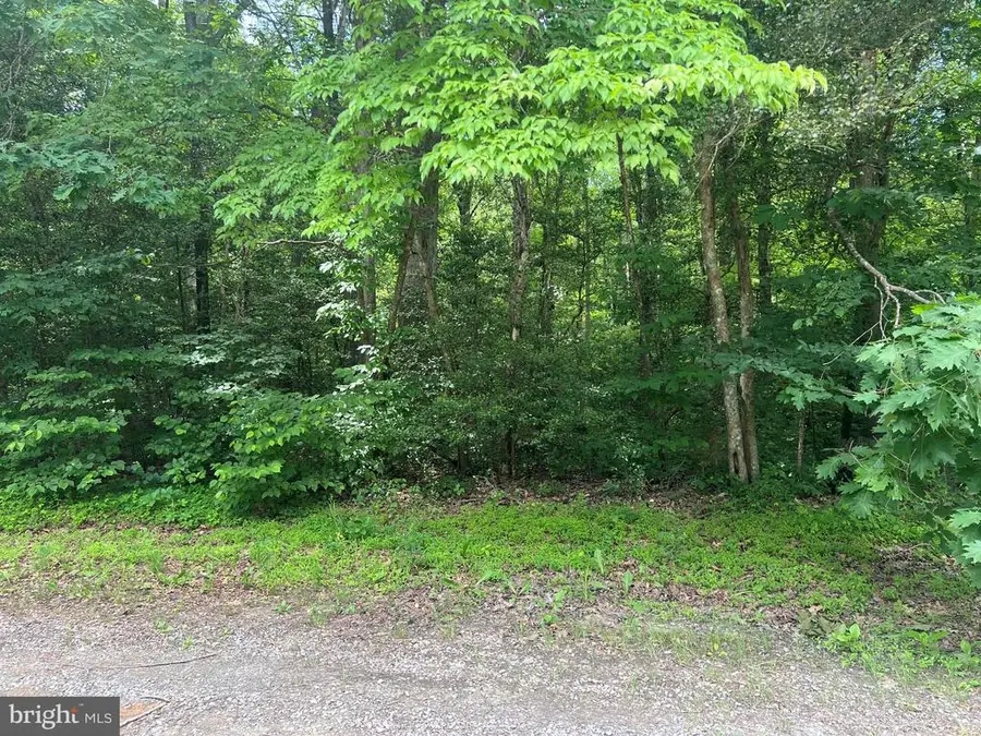 5517 Forest View Dr, Partlow, VA 22534 - #3
