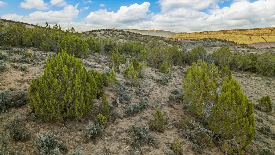 4546 Horse Canyon Road, De Beque, CO 81630 - Image #3