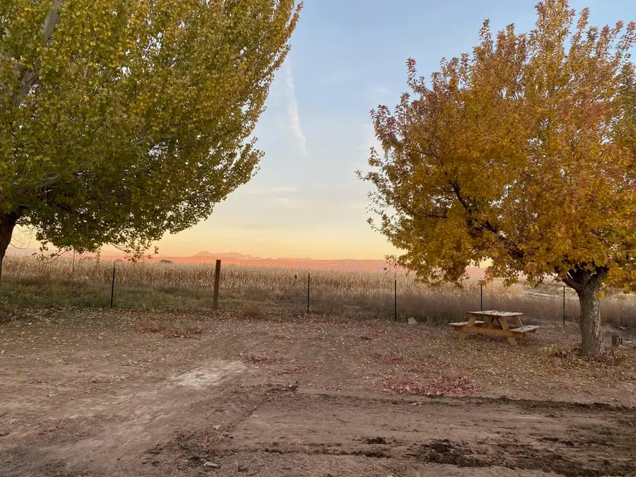 4150 Highway 348, Olathe, CO 81425 - Image #2