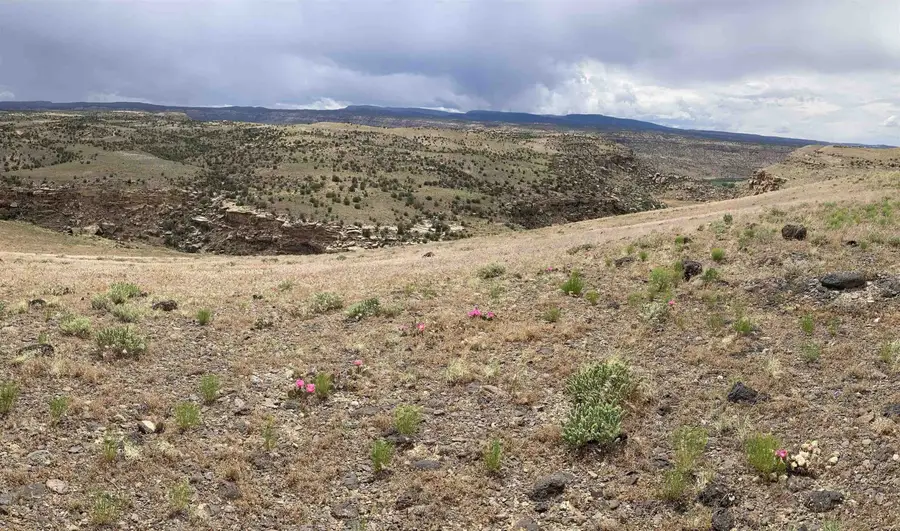 4751 Desert Road, Whitewater, CO 81527 - Image #2