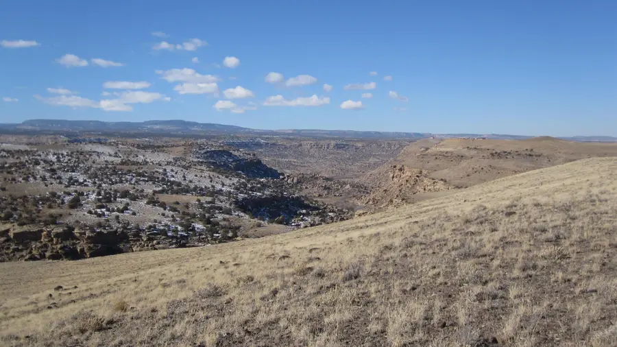 4751 Desert Road, Whitewater, CO 81527 - Image #3