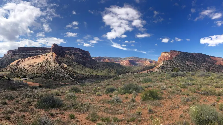 1915 1/2 Broadway, Grand Junction, CO 81507 - Image #2