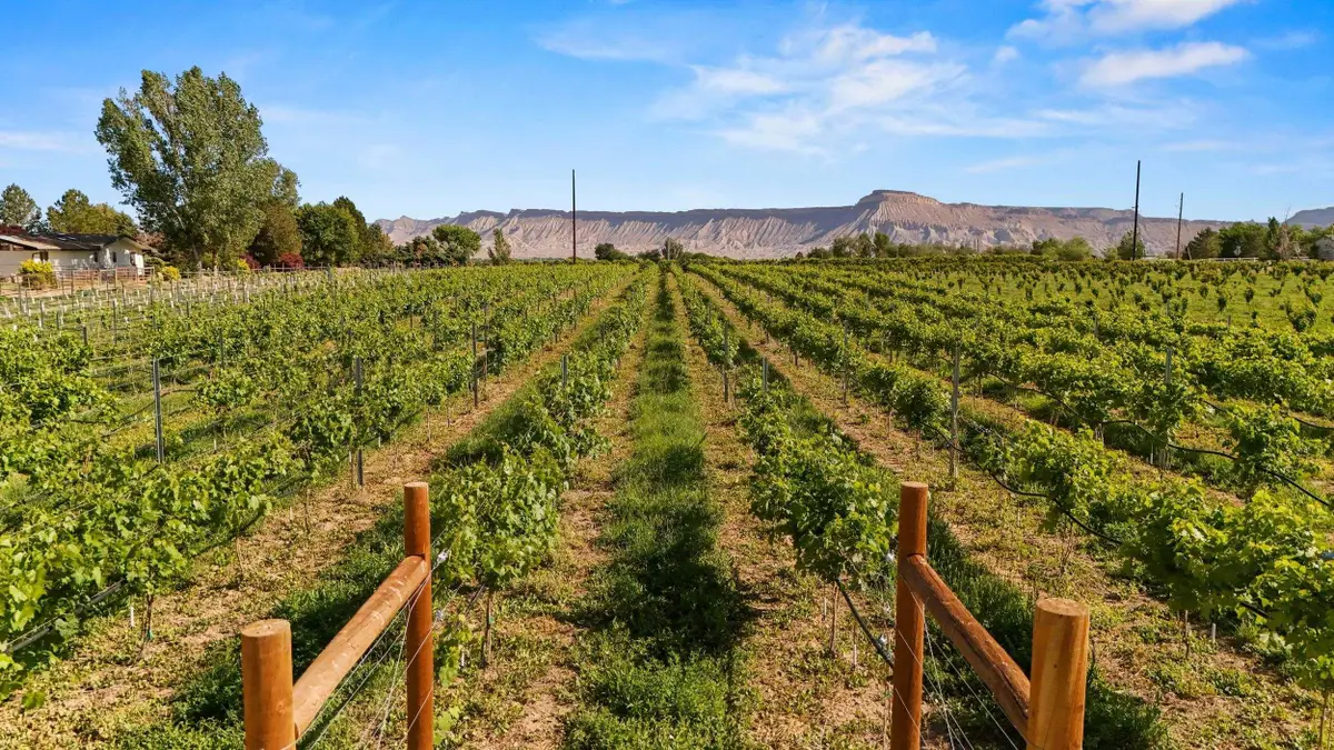 TBD at 3339 C Road, Palisade, CO 81526 - Image #1