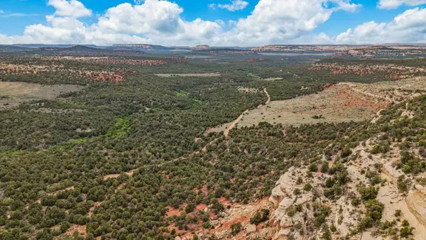 TBD S 9 8/10 Road, Glade Park, CO 81523