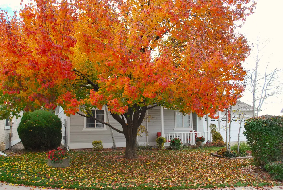 2440 Wellington Court, Grand Junction, CO 81501 - Image #1