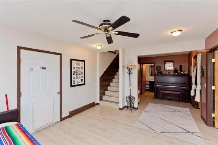 900 Thistle Court, Collbran, CO 81624 - #3