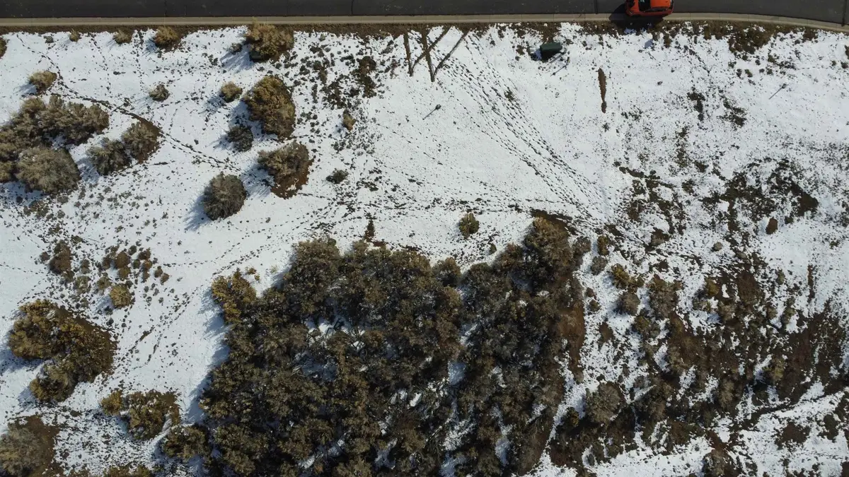 740 SE Pinyon Street, Cedaredge, CO 81413 - #1