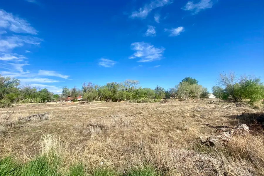 TBD Globe Willow Drive, Clifton, CO 81520 - #2