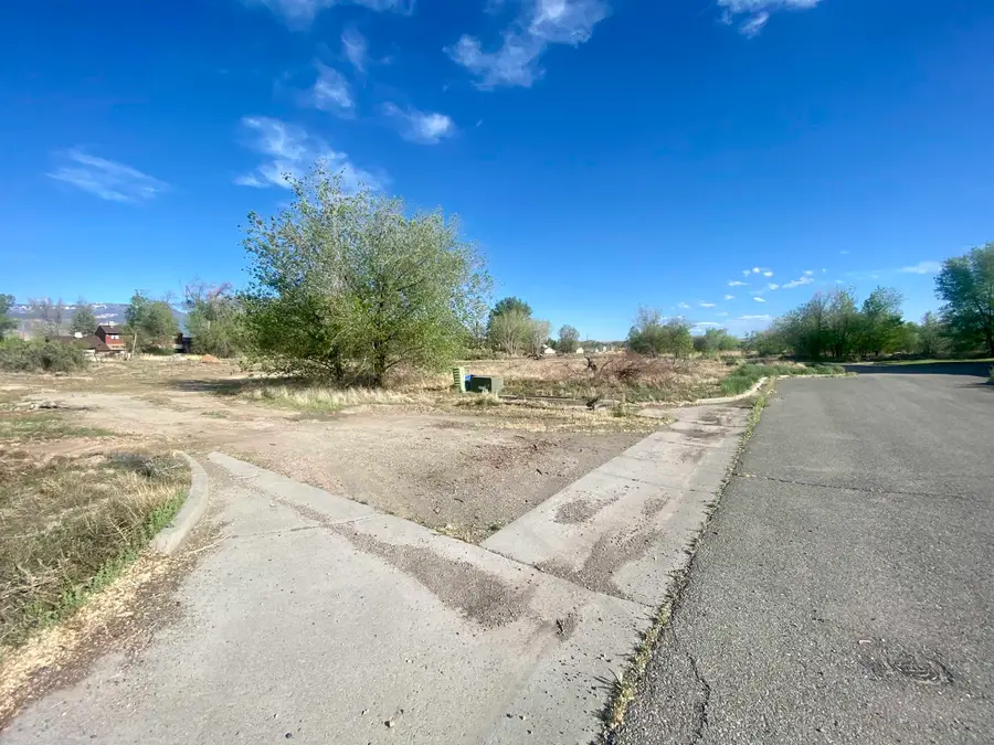 TBD Globe Willow Drive, Clifton, CO 81520 - #3