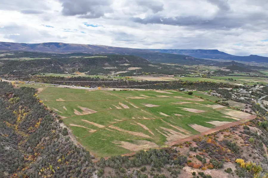 12482 54 7/10 Road, Molina, CO 81646 - #2