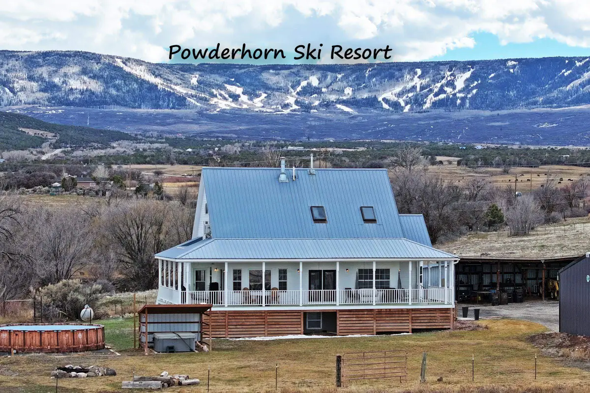 10008 Highway 65, Mesa, CO 81643 - #1