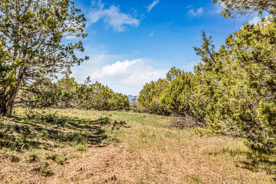 53873 Ie 3/4 Road, Mesa, CO 81643 - #2