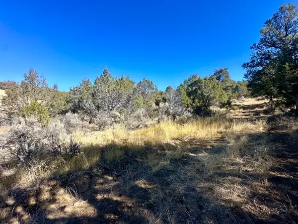 TBD Cactus Park Road, Cedaredge, CO 81413