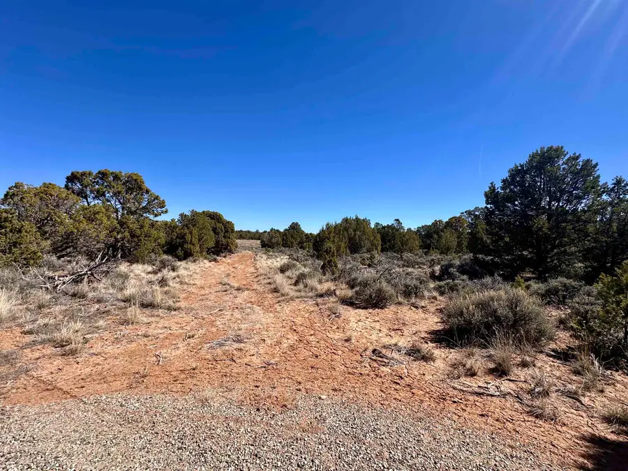 TBD Canyon Ridge Drive, Glade Park, CO 81523 - #3