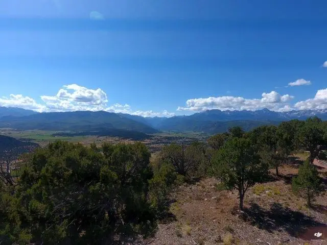 TBD Pine Drive, Ridgway, CO 81432 - #3