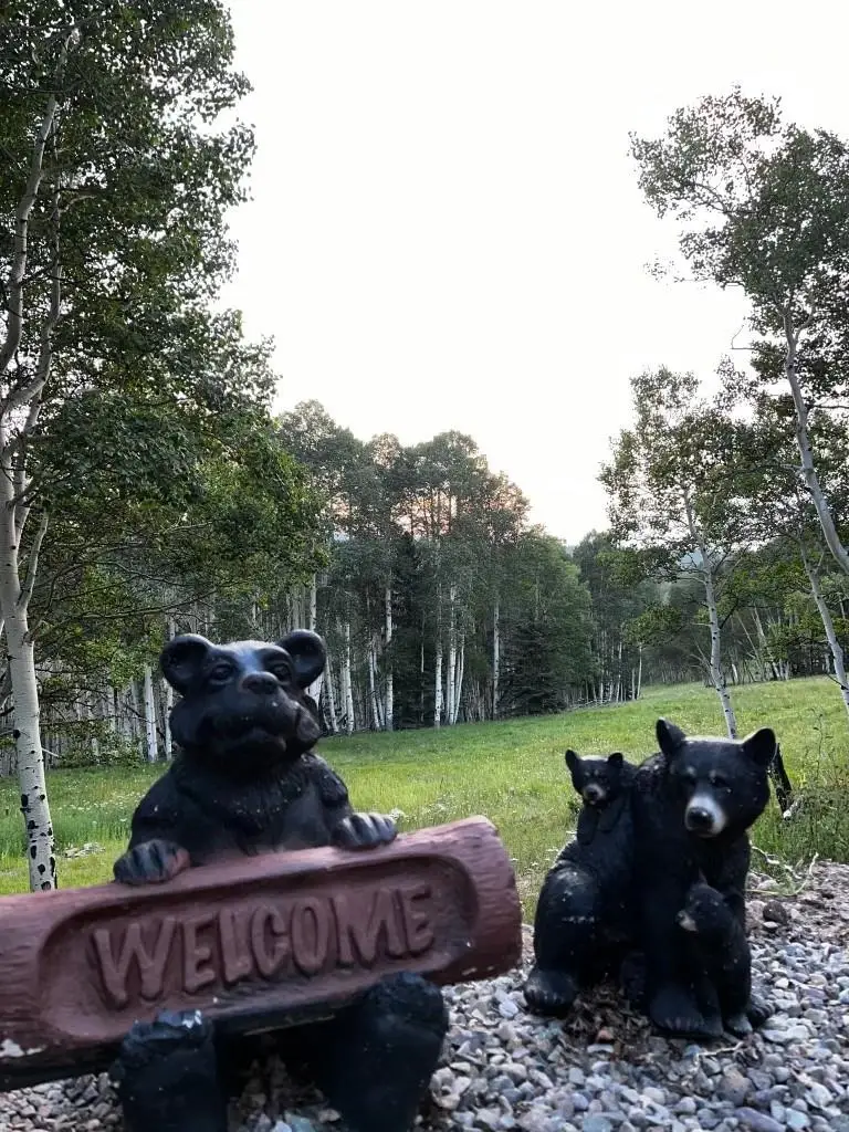 1255 Spruce Road, Cimarron, CO 81220 - #2