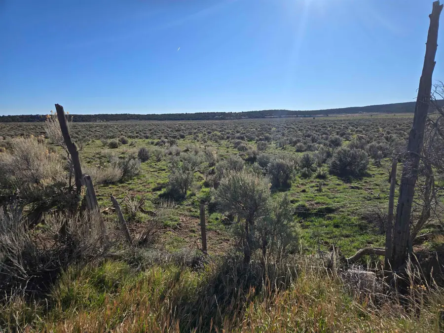 TBD Tbd, Glade Park, CO 81523 - #2