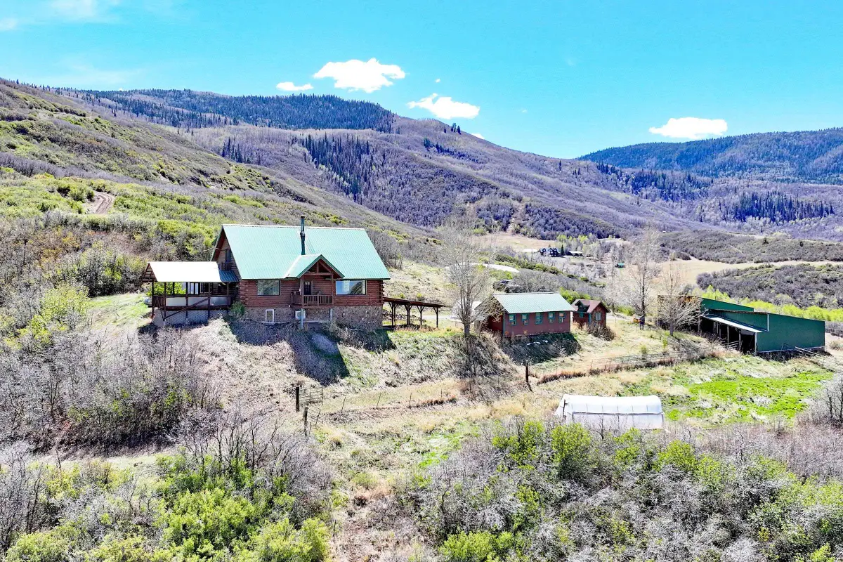 10822 60 3/4 Road, Collbran, CO 81162 - #1