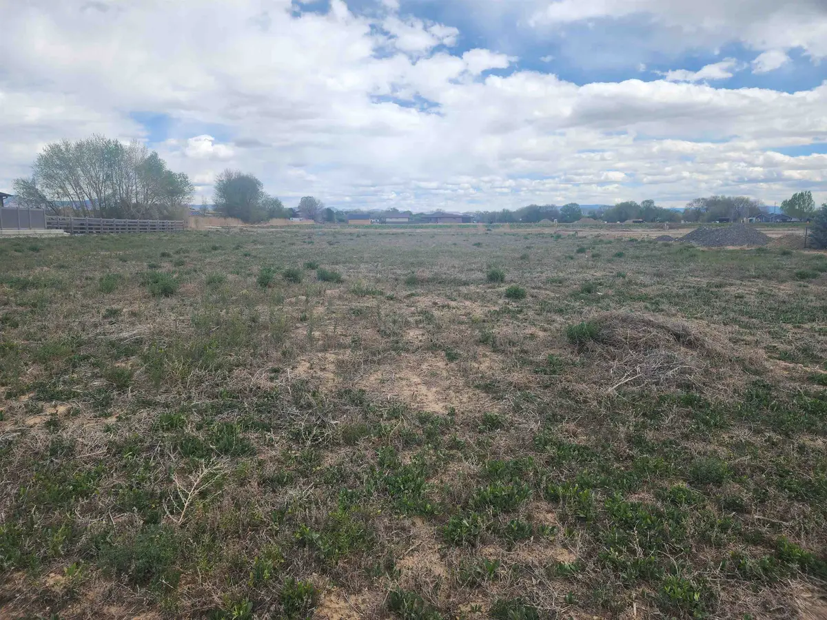 1206 Lazy V Lane, Fruita, CO 81521 - #1