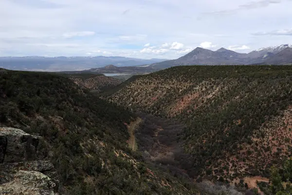 TBD Tbd, Crawford, CO 81415