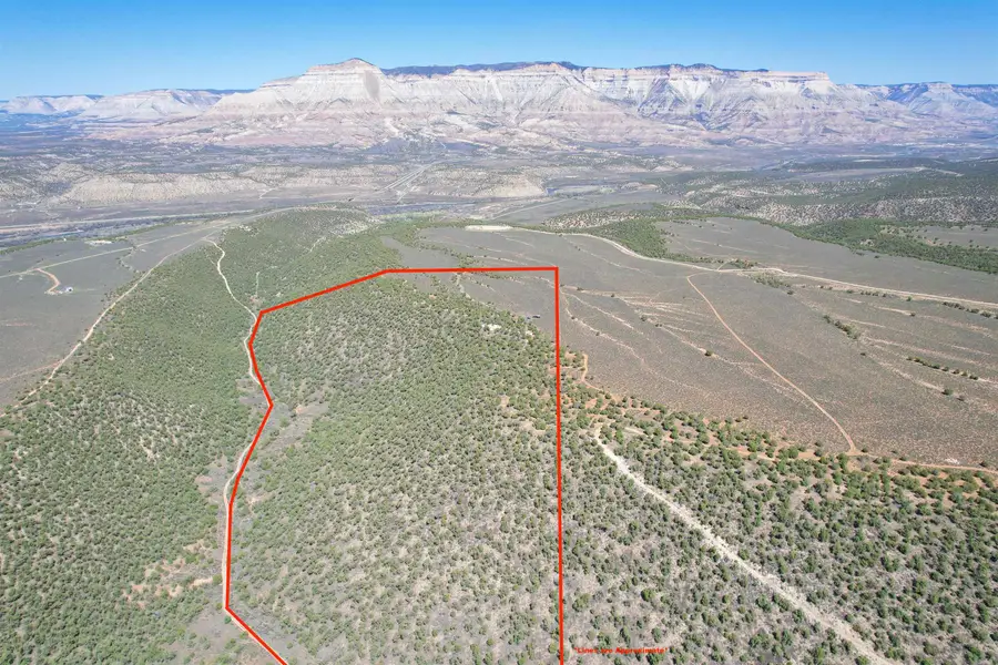 TBD T Road, De Beque, CO 81630 - #2