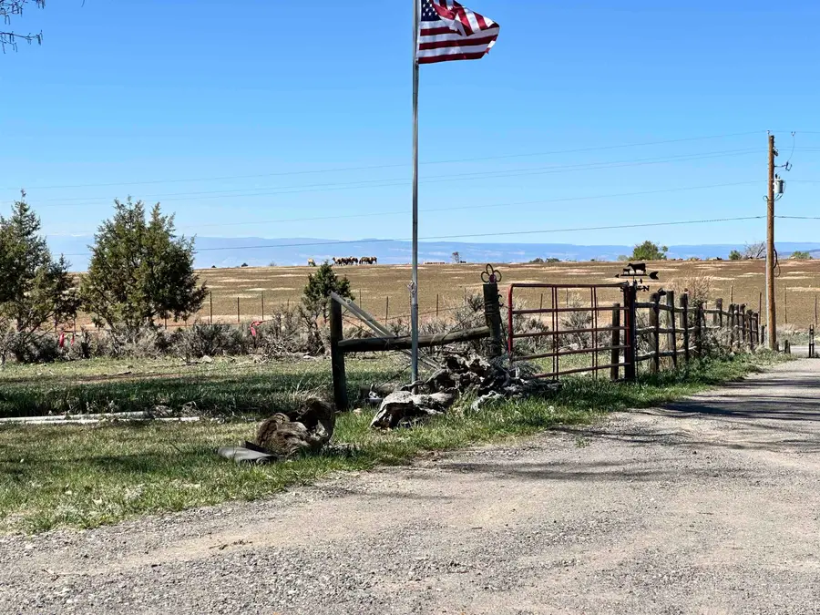 12880 2900 Road, Hotchkiss, CO 81419 - #3